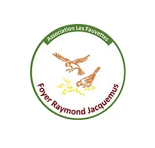 foyer logo